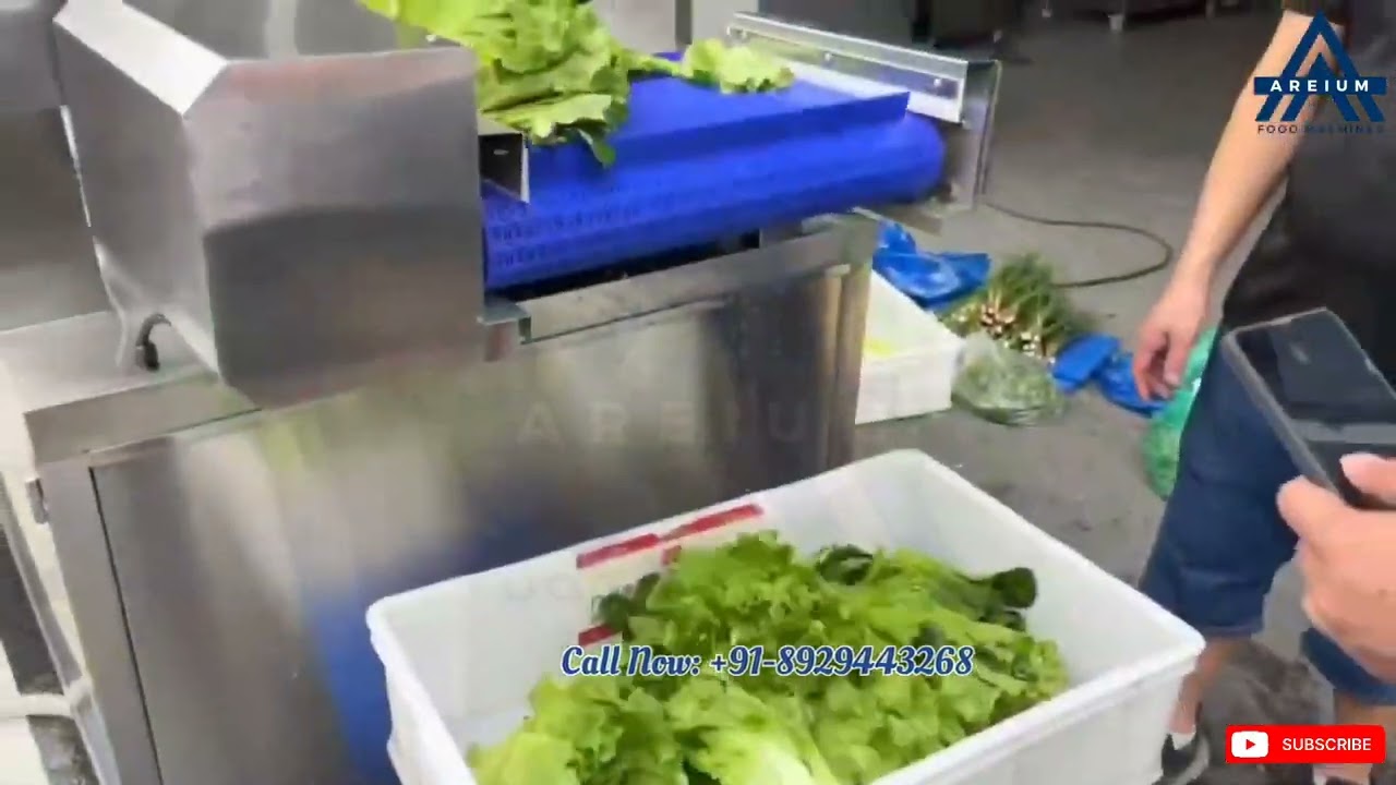Game-Changer for Food Washing! Wash Every Fruit & Leafy Veggie with Ozone Bubble Technology 🍎🥬