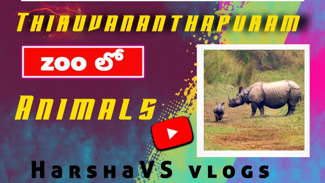 Thiruvananthapuram zoo 🦏 in Telugu #video #viral #vlogs #vlog #viralvideo #zoo #nature #animals
