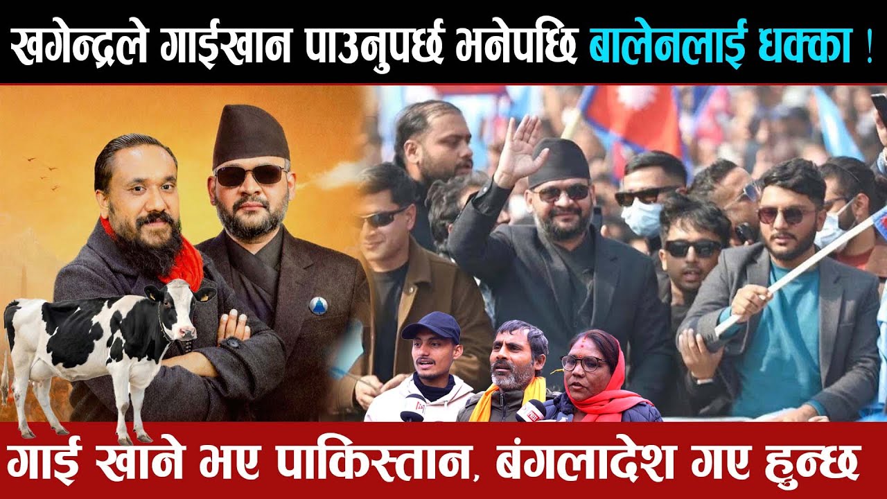 खगेन्द्रको गाई खान पाउनुपर्ने अभिव्यक्तिले बालेनलाई प¥यो पासो, जनता भन्छन् रास्वपाको माहोल बिग्रीयो