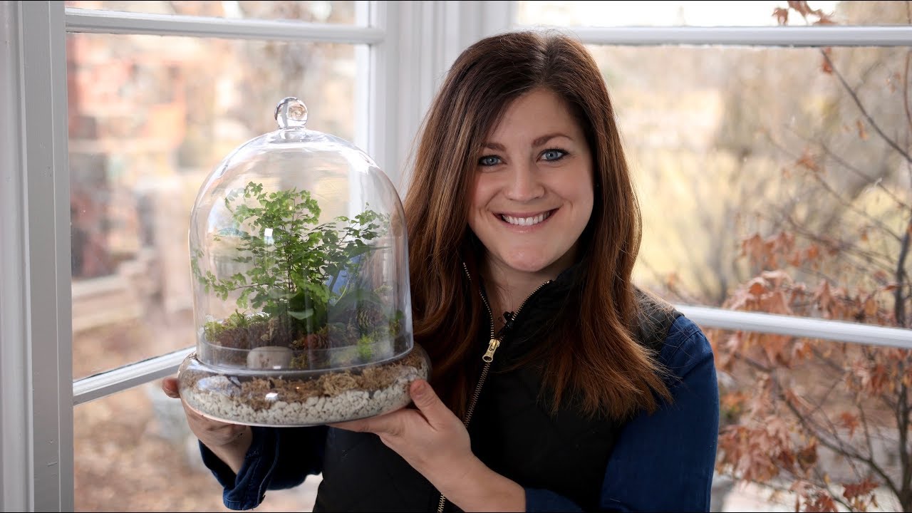 Putting Together a Terrarium with Ferns! 🌿💚// Garden Answer