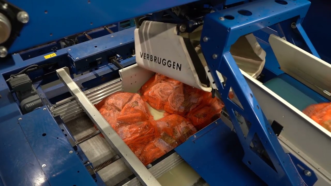 Stacking Bags of Carrots on a VPM-10 - Verbruiggen Palletizing Solutions