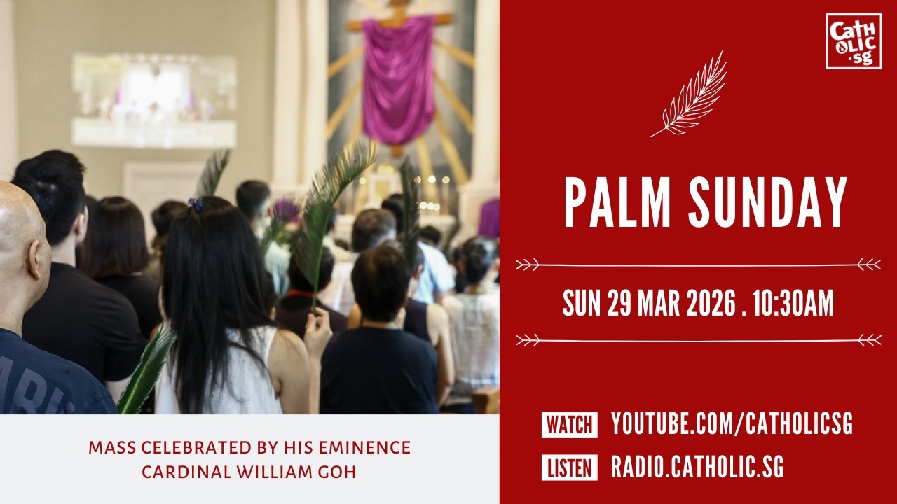 Palm Sunday Mass 2026 &ndash; Catholic Sunday Mass Today Live Online