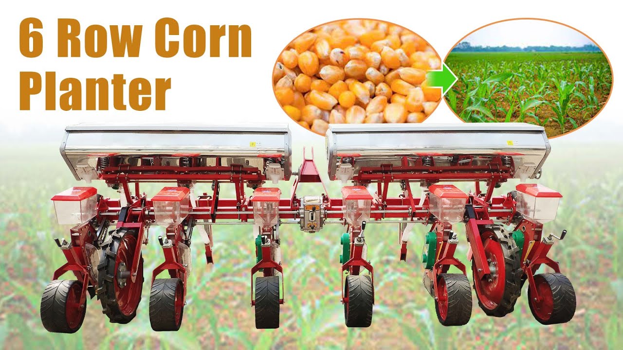 6 Row Corn Planter Machine for Sowing Maize, Soybean - Introduction to 6 Row Maize Planter Machine