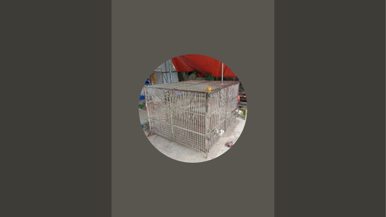 Chuồng Chó Inox lắp ghép giá tại sưởng