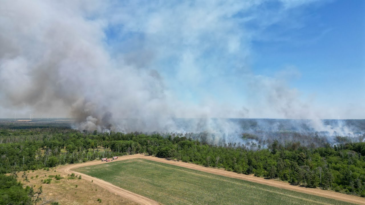 Großer Waldbrand in der Gohrischheide 2025: Feuerwehr löscht in Sachsen und Brandenburg [02.07.2025]