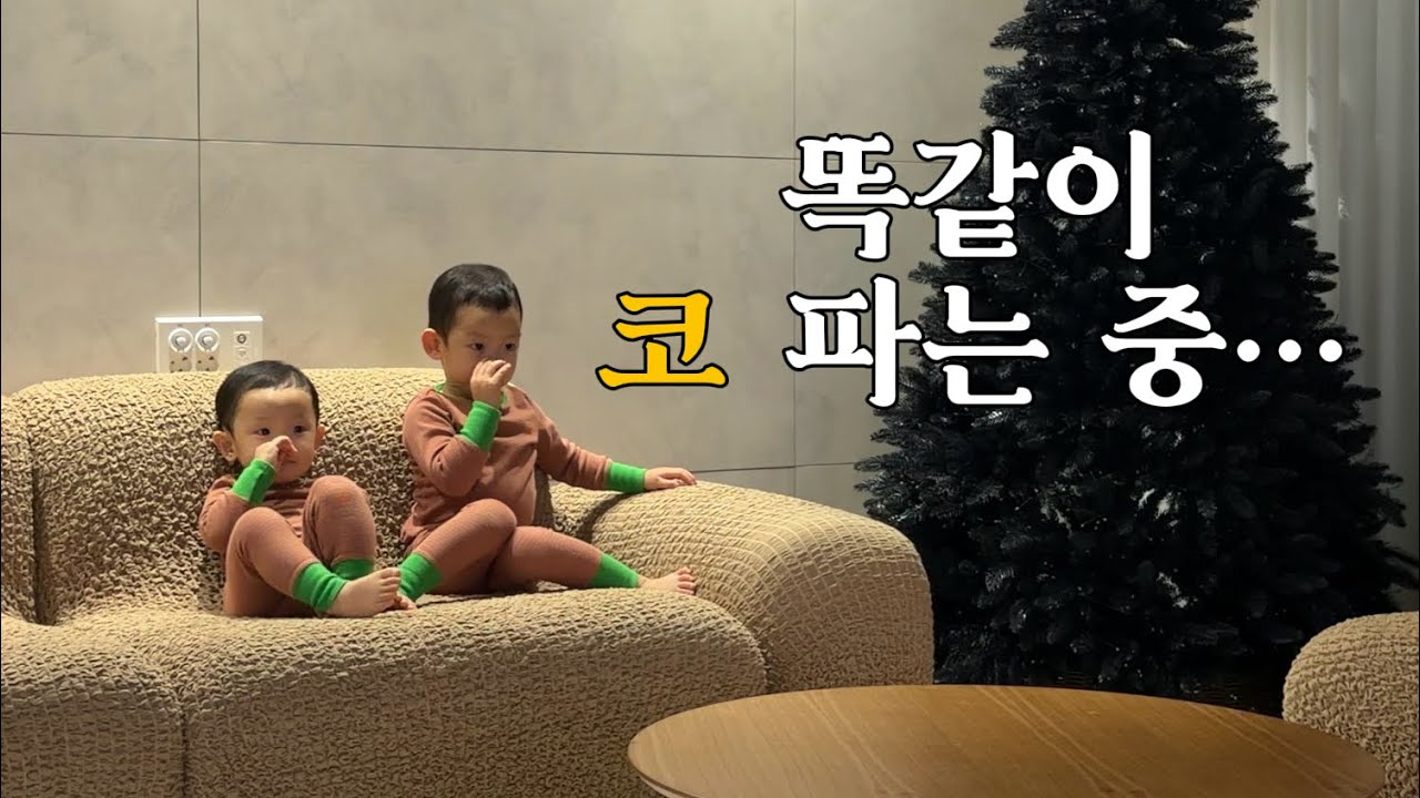 둘이 왜 동시에 코 파는 건데요,, ｜연년생 형제 육아 현실