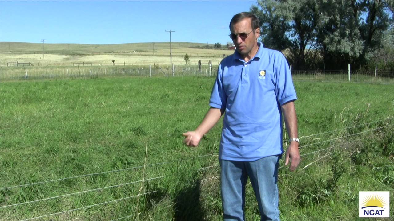 Intensive Grazing: One Farm's Set Up. Chapter 4. Stock Water System