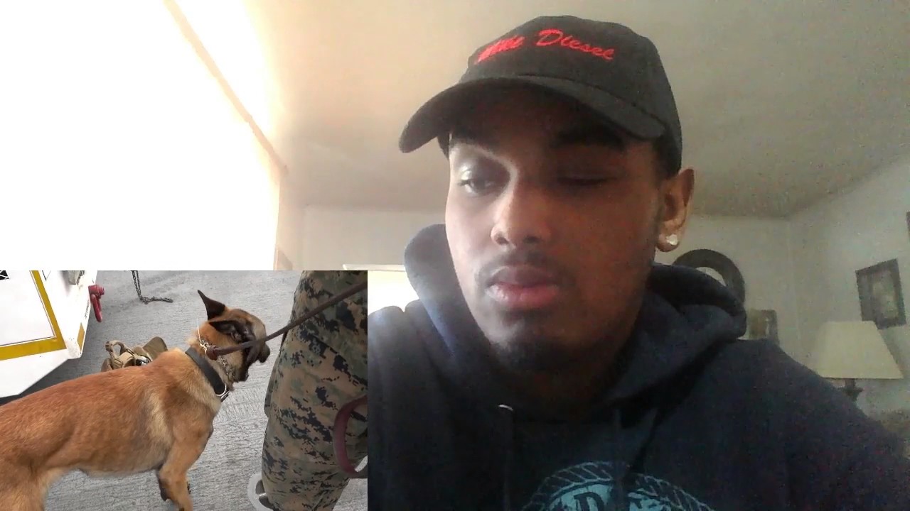 REACTION TO NAVA THE BEAST!!!!!!!!!!!