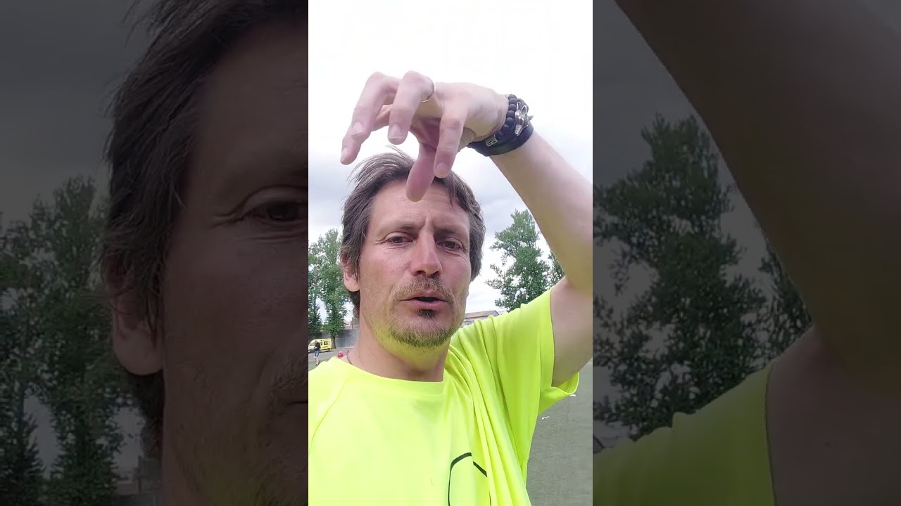 Suņa stāsti - Deju svētkos 2023