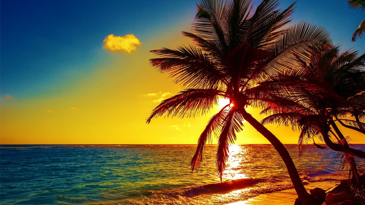 Beautiful Relaxing Peaceful Music, Calm Music 24/7, 