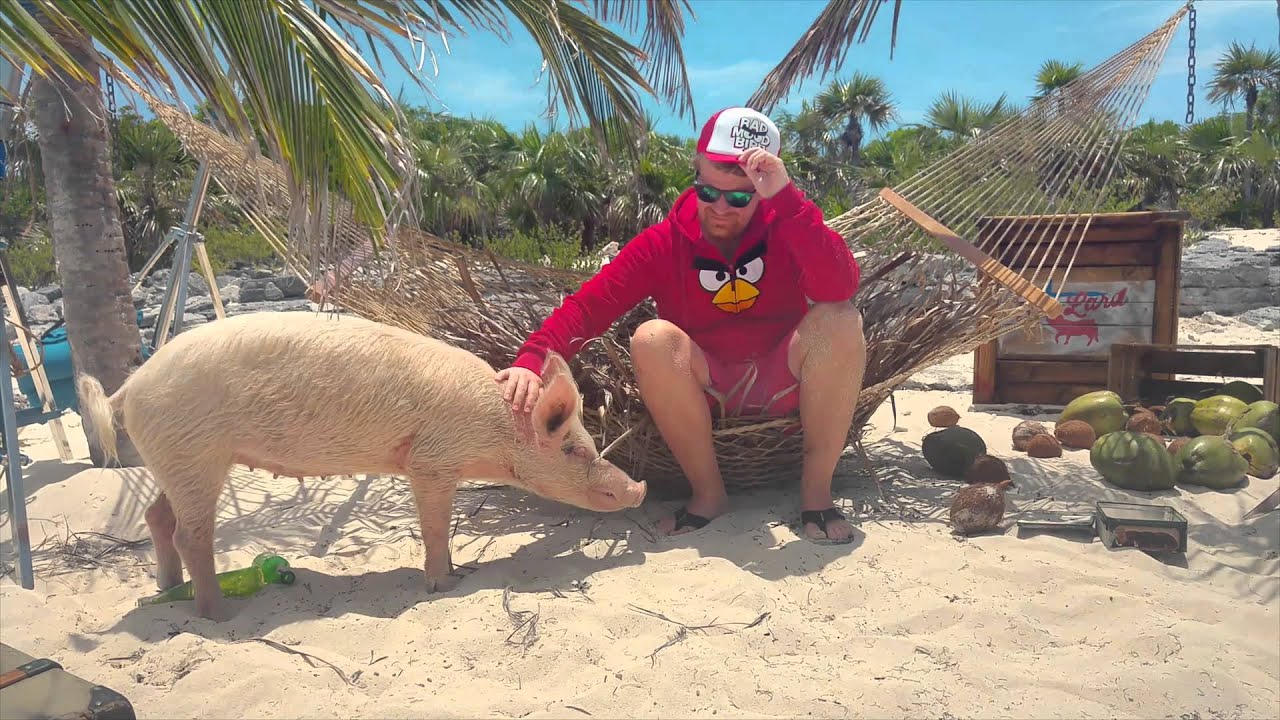 Angry Birds 2 – Behind the Scenes feat. the LG G4 smart phone
