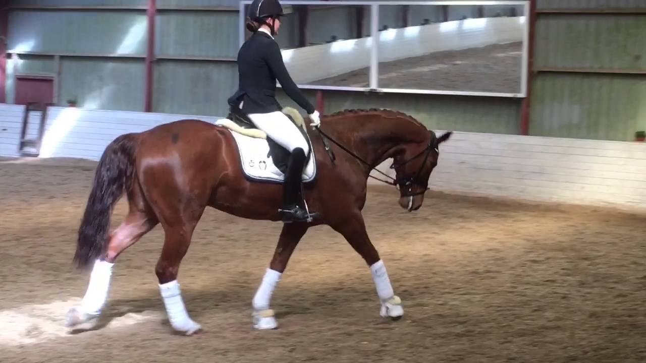 Edison At His First Competition Ever (And Winning!)