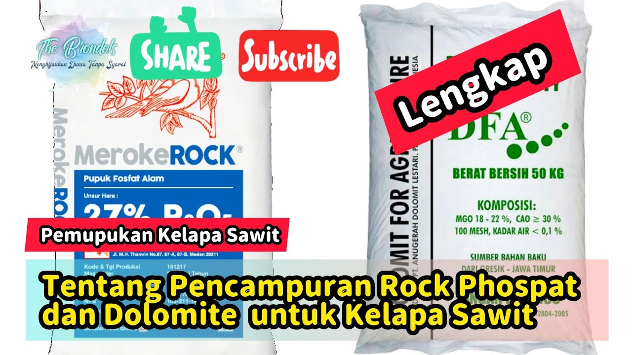 Pemupukan Kelapa Sawit - Pencampuran Rock Phospat dan Dolomite (Pembibitan, Tanam, TBM Dan TM)