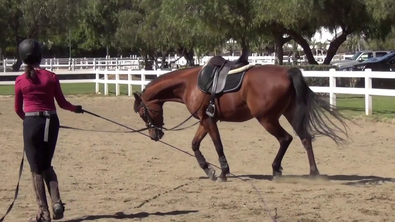 Christina and Victoria:  Starting a young horse