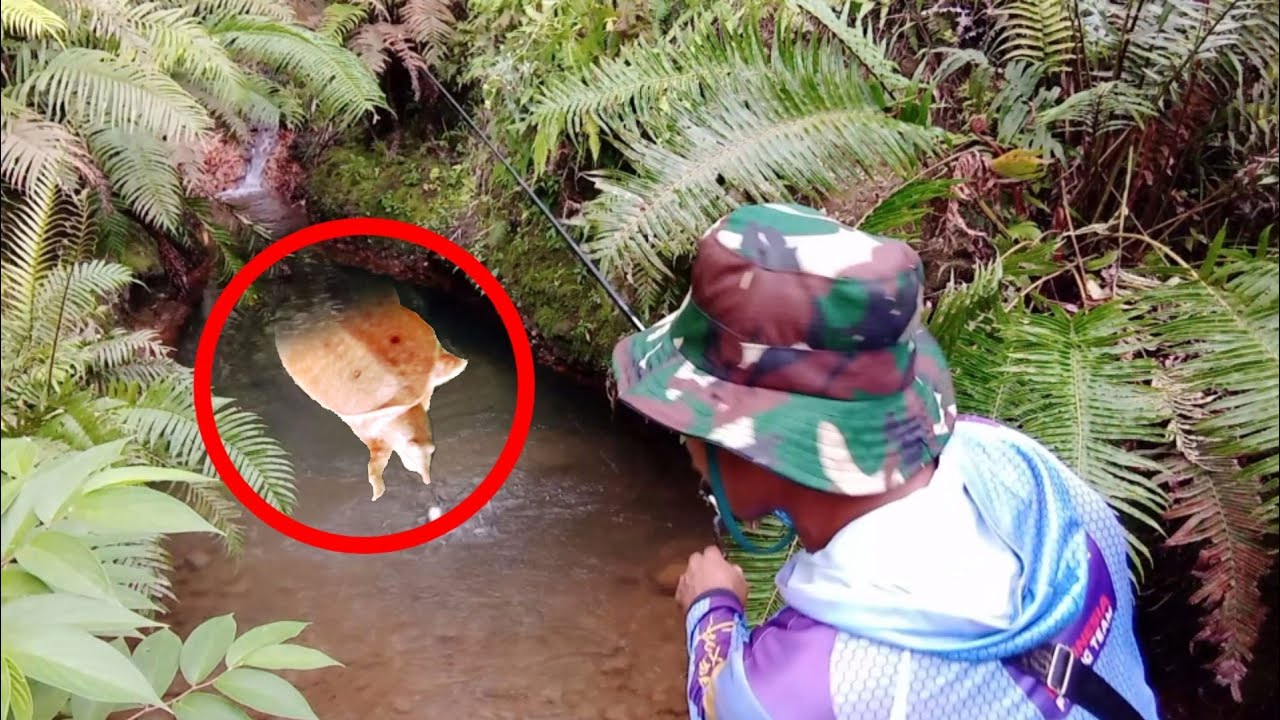 Ini bulus apa labi-labi lur,,,? || Muter muter dapet anak monster 