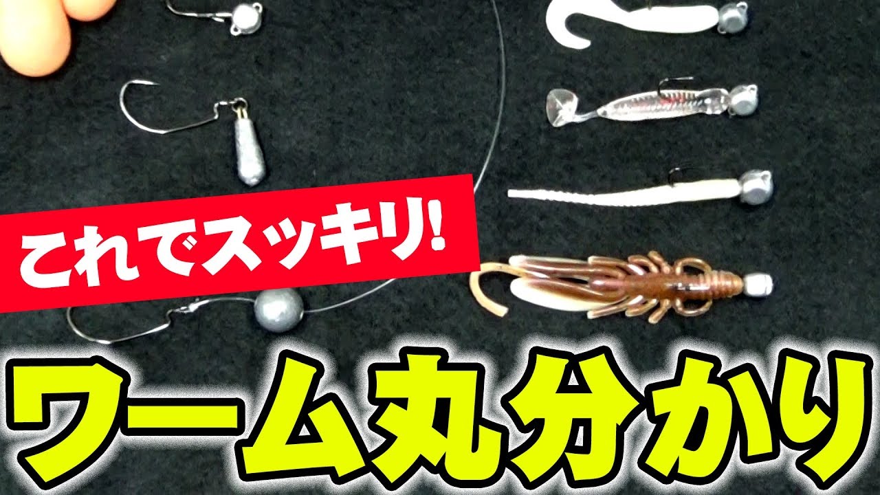 ワームの事が丸わかりできる動画！