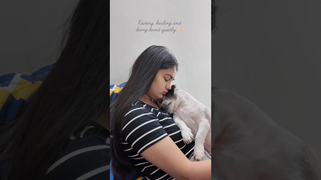 Healing looks like this🐾🥹#doglove #petlover #dogs #dogsofyoutube #petlovers #youtubeshorts #viral