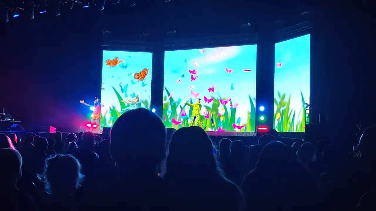 Millipede Danny Go! Live Seattle 11.6.24