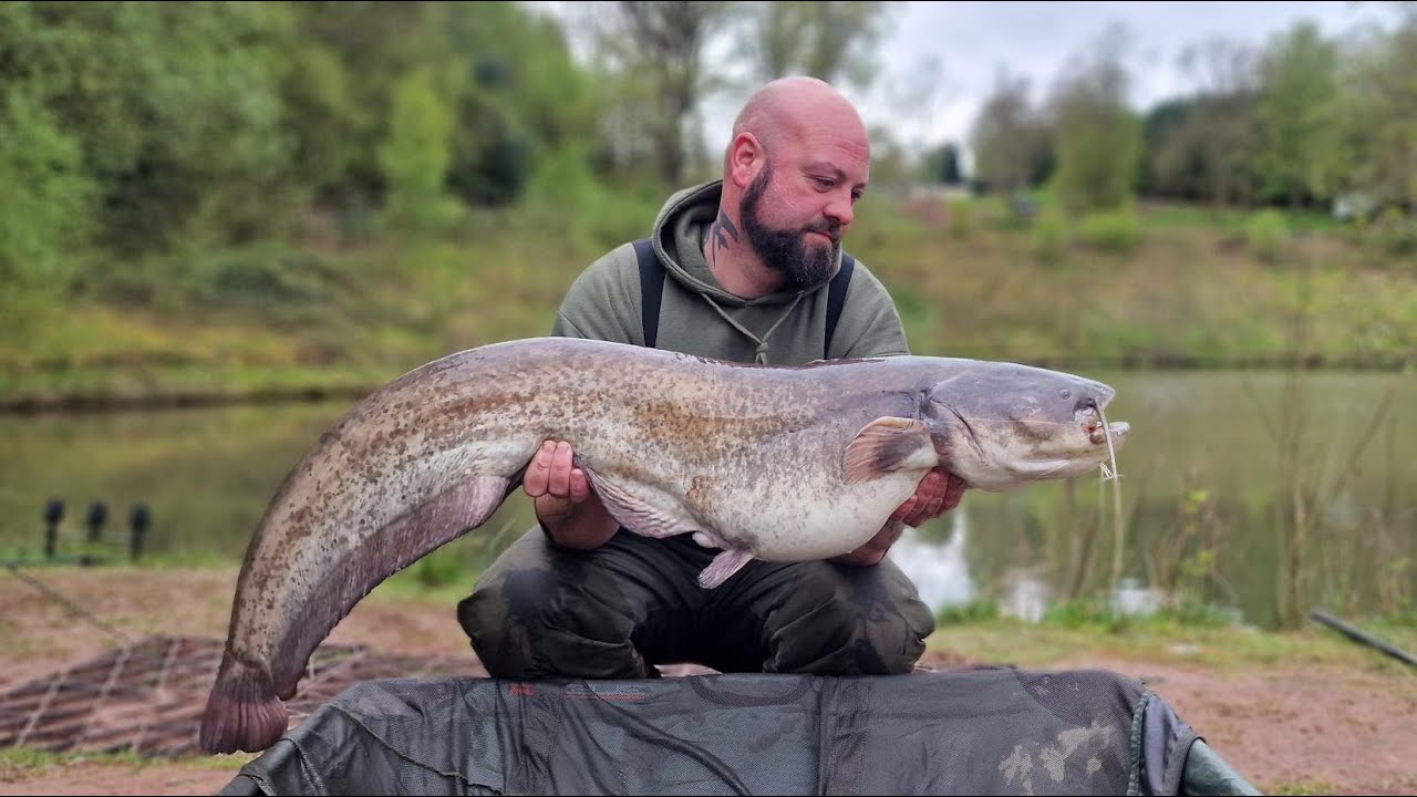 PB CATFISH. 96 HOURS FISHING AT SHATTERFORD LAKES.