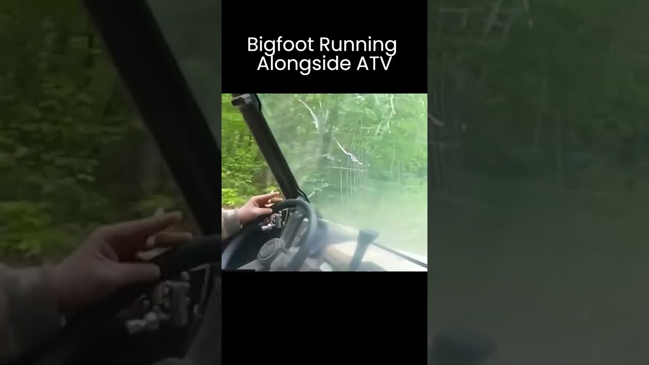 BIGFOOT CHASES ATV Through The Woods! THEY HAD NO IDEA!! #shorts #Bigfoot #CryptidEncounters