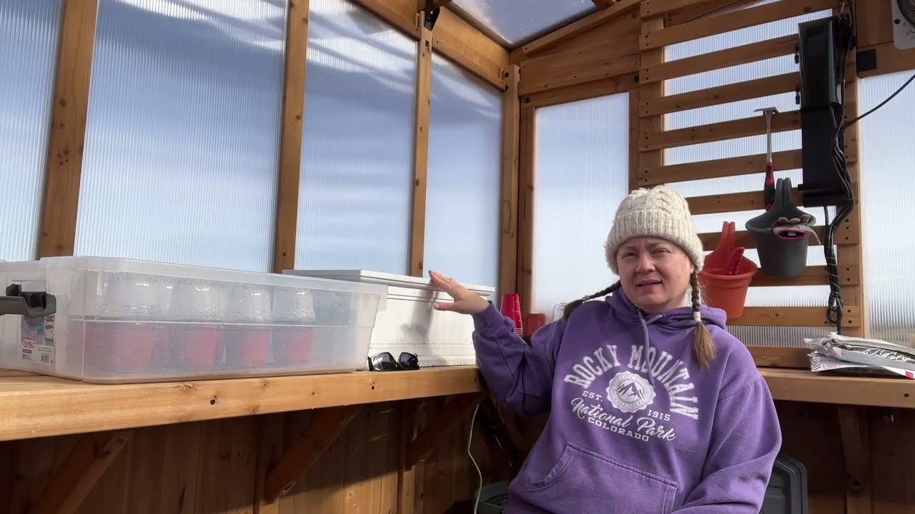 Starting My Greenhouse Journey 