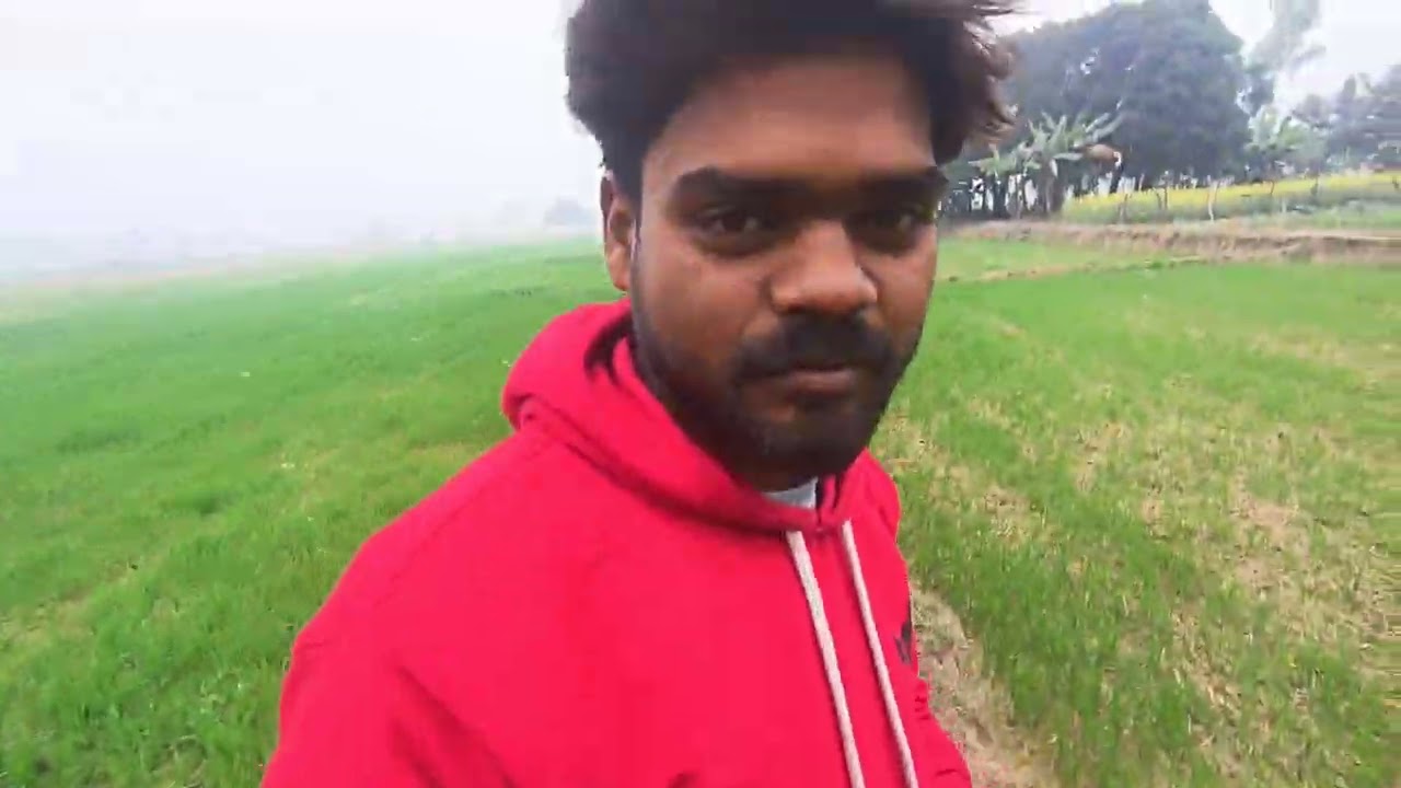 Aisa gana Jungle aapane kabhi nahin dekha hoga