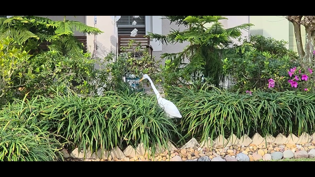 End of January Florida Garden Tour
