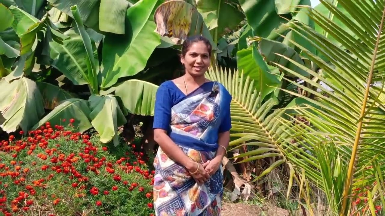 Nanna natina pandla mokkalu ||fruit plants 