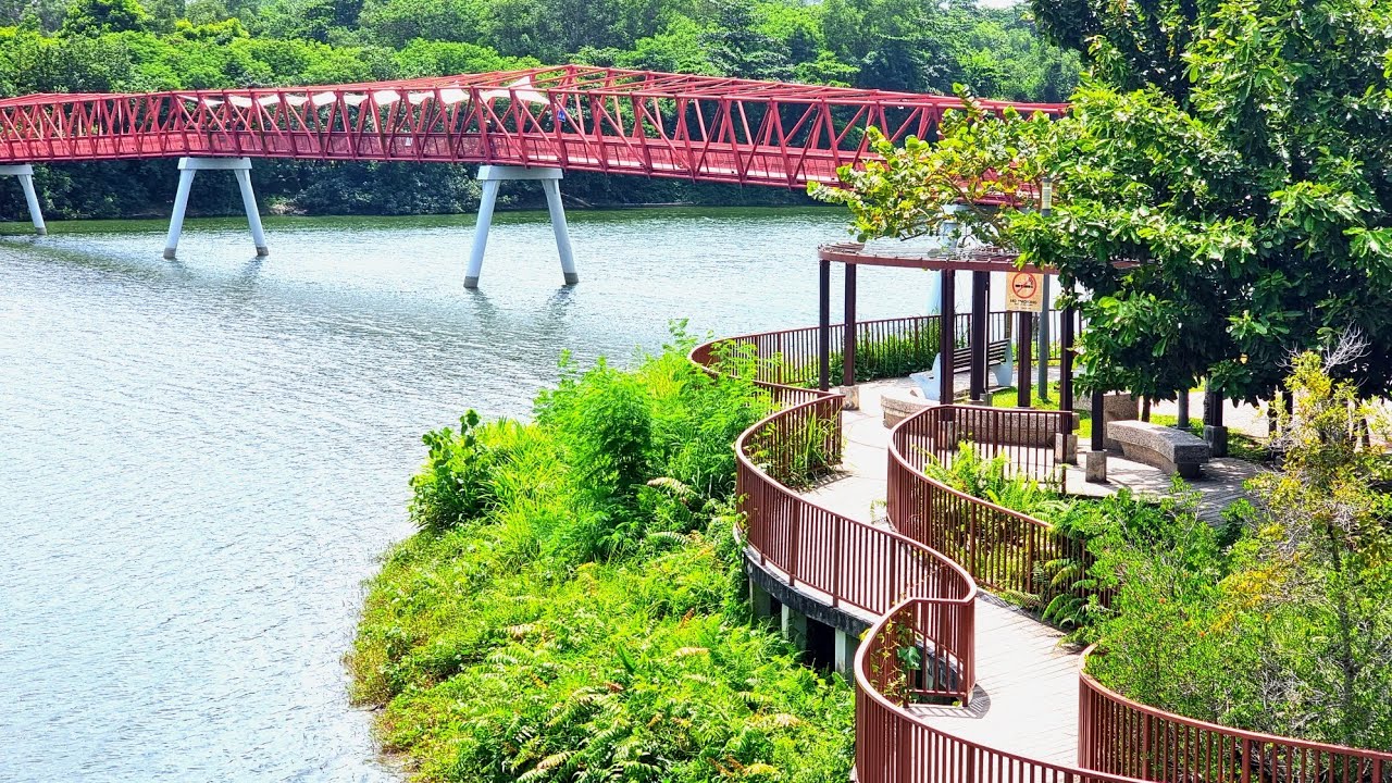 Exploring Punggol Waterway Park,  Jewel Bridge and Lorong Halus