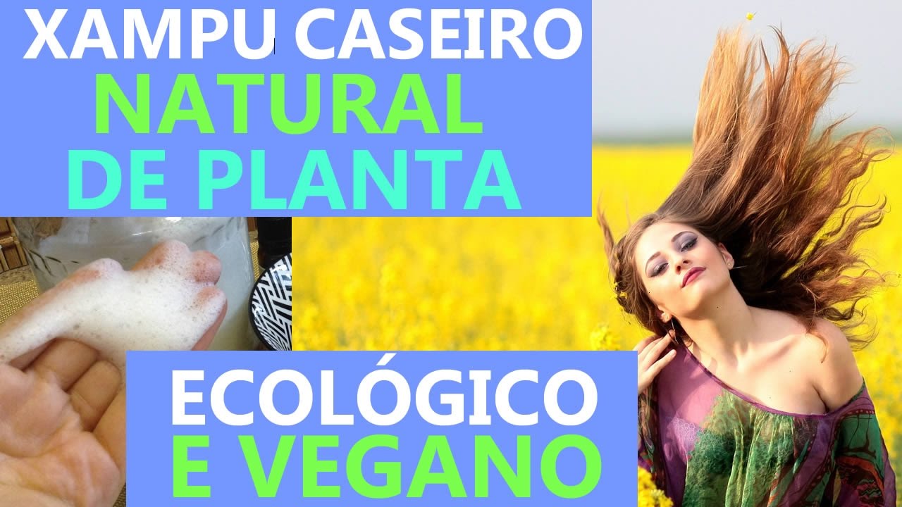 Fazendo XAMPU de Saponária | CASEIRO, 100% natural e vegano
