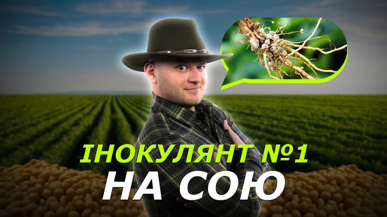 ЧОМУ ДЛЯ ІНОКУЛЯЦІЇ СОЇ 🥜 ОБИРАЮТЬ САМЕ ХІСТІК? ІНОКУЛЯНТ НОМЕР ОДИН #ІнструментиВрожаю