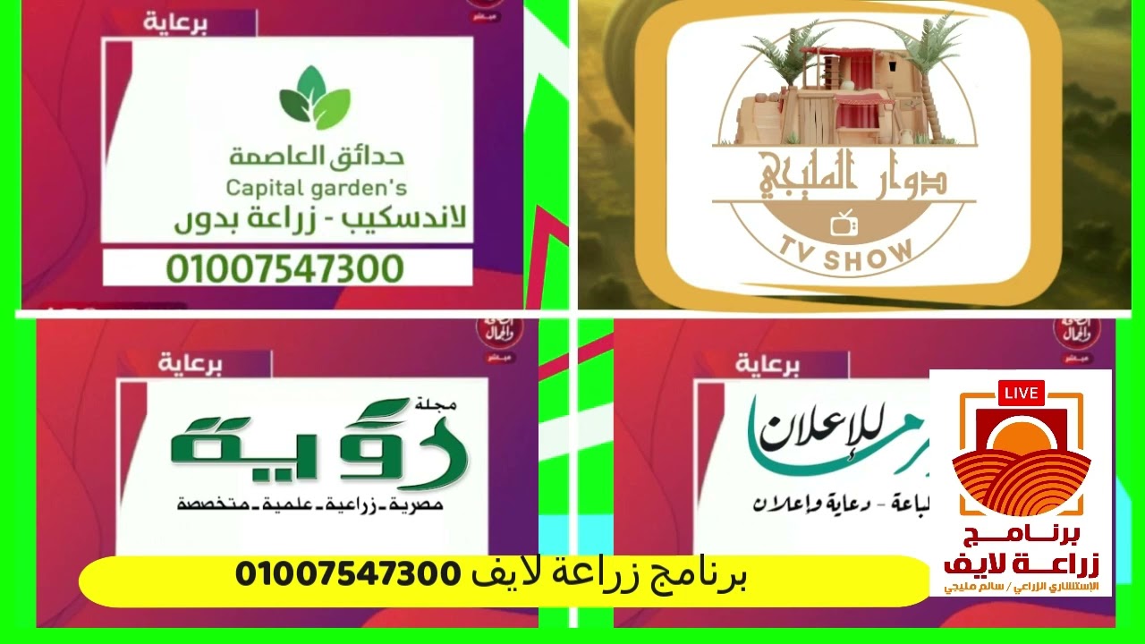 نصائح غذائية مهمة لكل الناس عشان تحافظ على صحتها  من ا د على ابراهيم بحبو