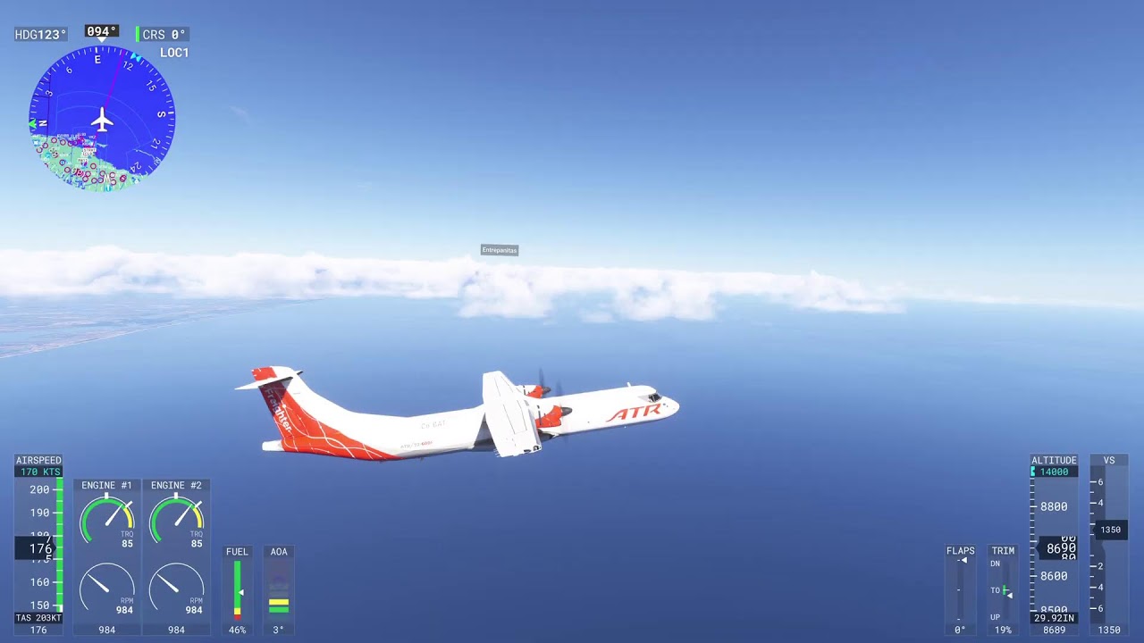 Microsoft Flight Sim Live Online