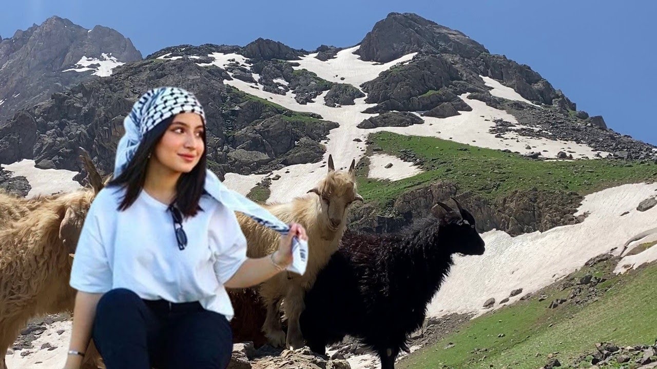 Hozan Adem - Lele Koçere 💐 Kürtçe Uzun Hava Dengbeji [ Stranen Kurdî 2024 HD ]
