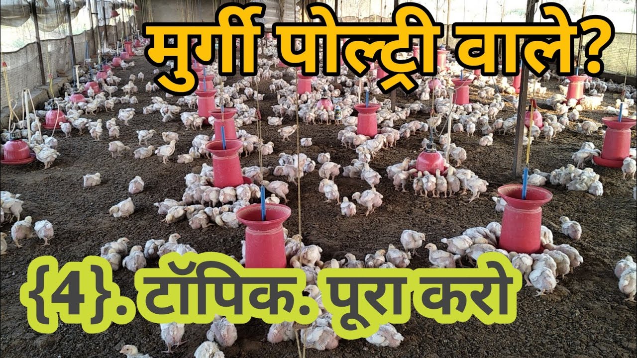 #मुर्गी पोल्ट्री वालों के लिए 4 जरूरी टॉपिक | #Poultry Farming Tips 2026 | Broiler Farming@72STAR 