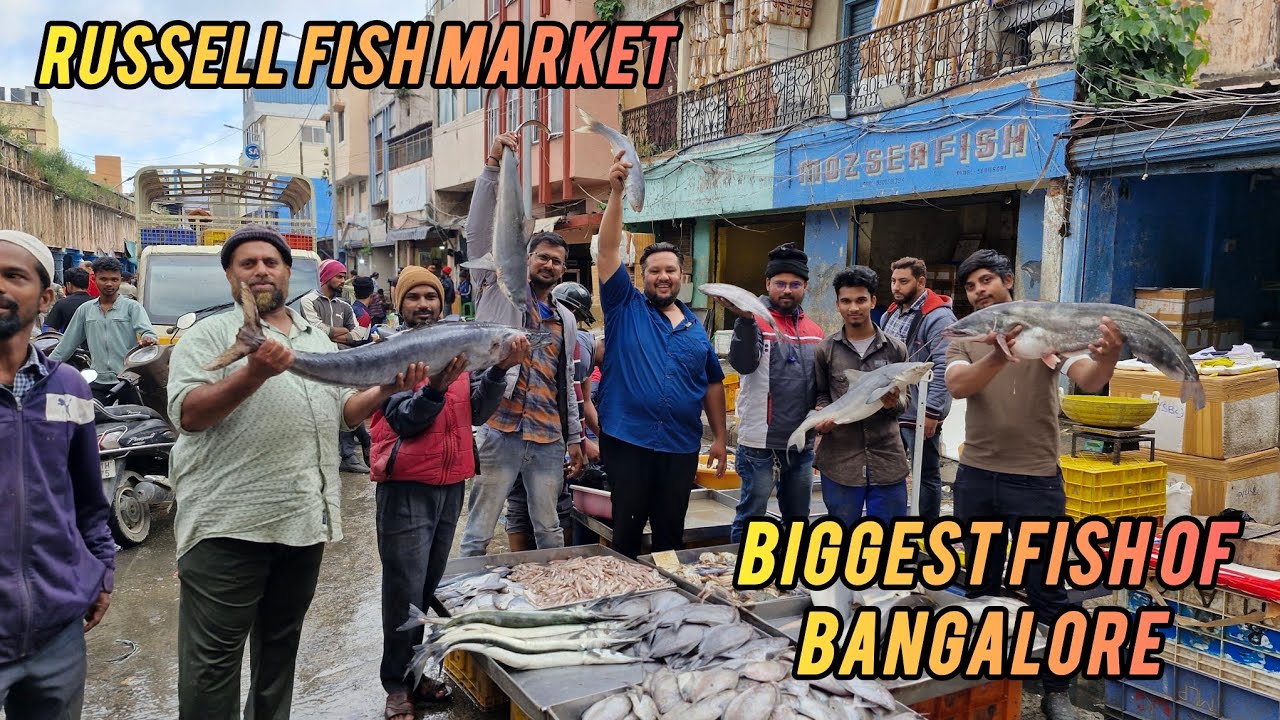 Russell Fish Market Shivaji Nagar | Wholesale Fish Market Bangalore Full Detail Video