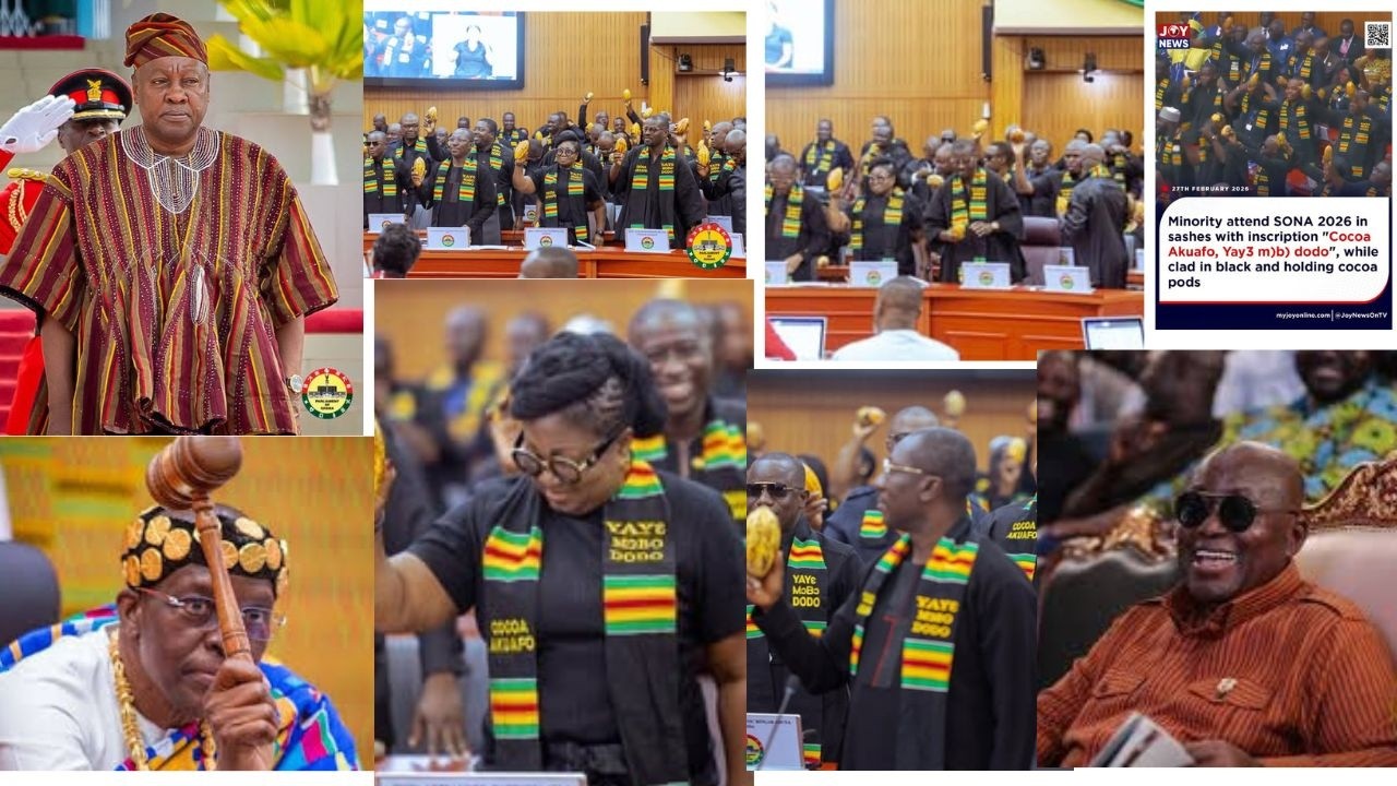 Nana Addo laughs Seeing how the minority Disgraced Mahama with Cocoa  Pod on in  Parliament