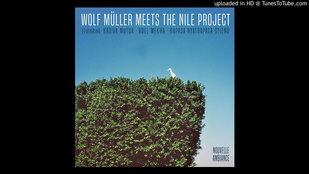Wolf M&uuml;ller meets the Nile Project - Mabomba Dance (Radio Edit)