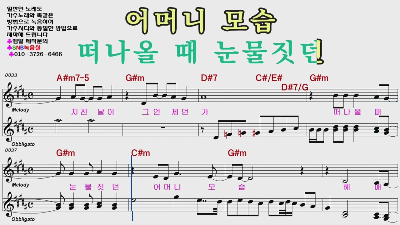 송가인 비내리는금강산