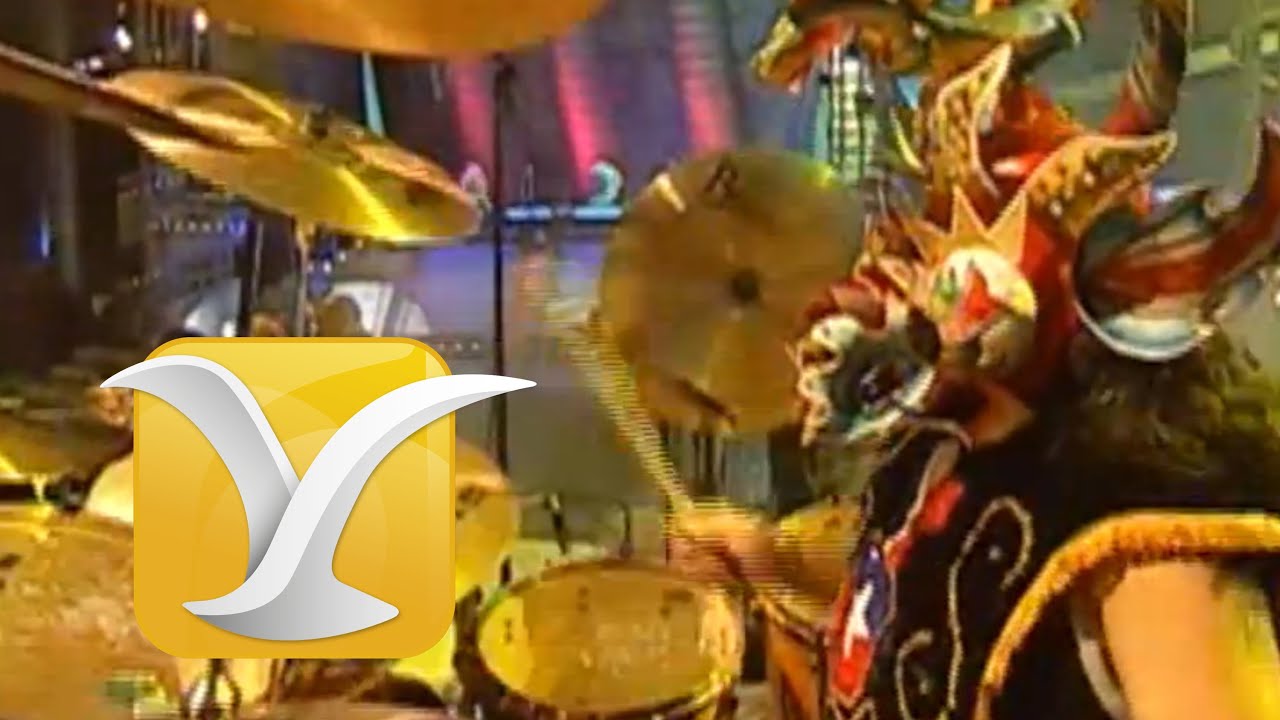 Chancho en Piedra, Socio, Festival de Viña 2004
