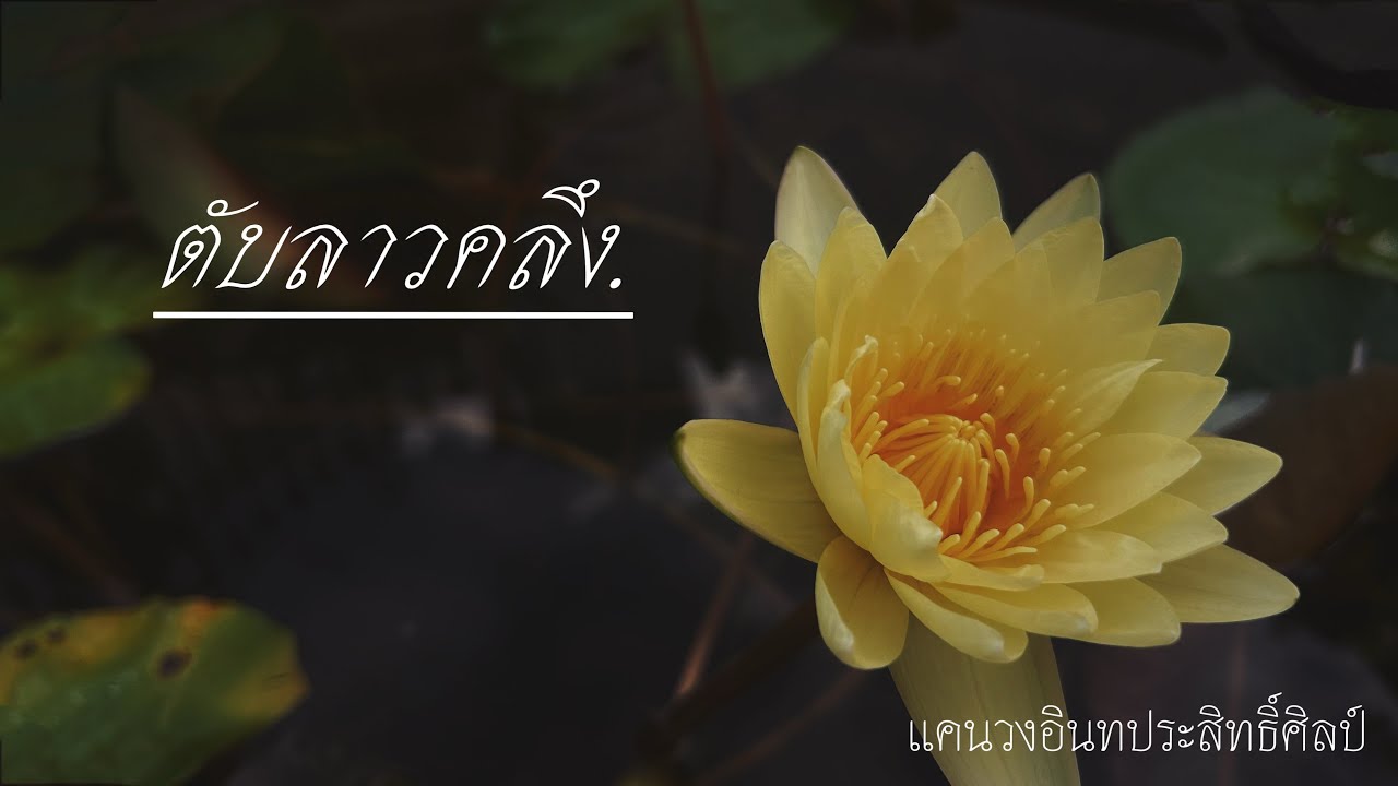 ตับลาวคลึง แคนวง