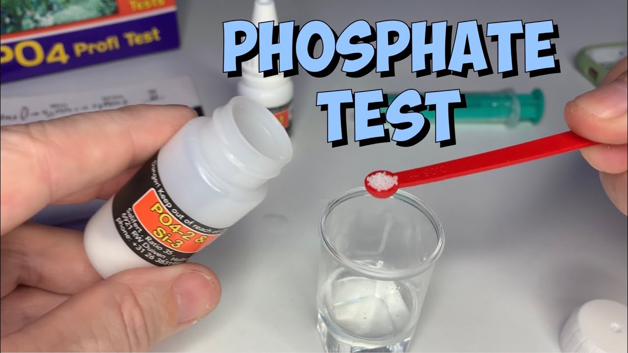 Phosphate (PO4) Water Test | Salifert