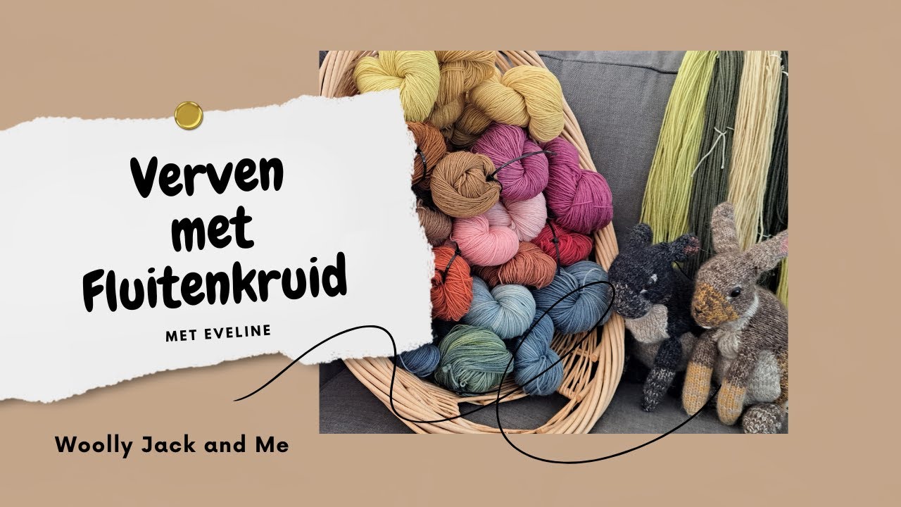 Verven met Fluitenkruid, deel 24 2024 - Woolly Jack and Me