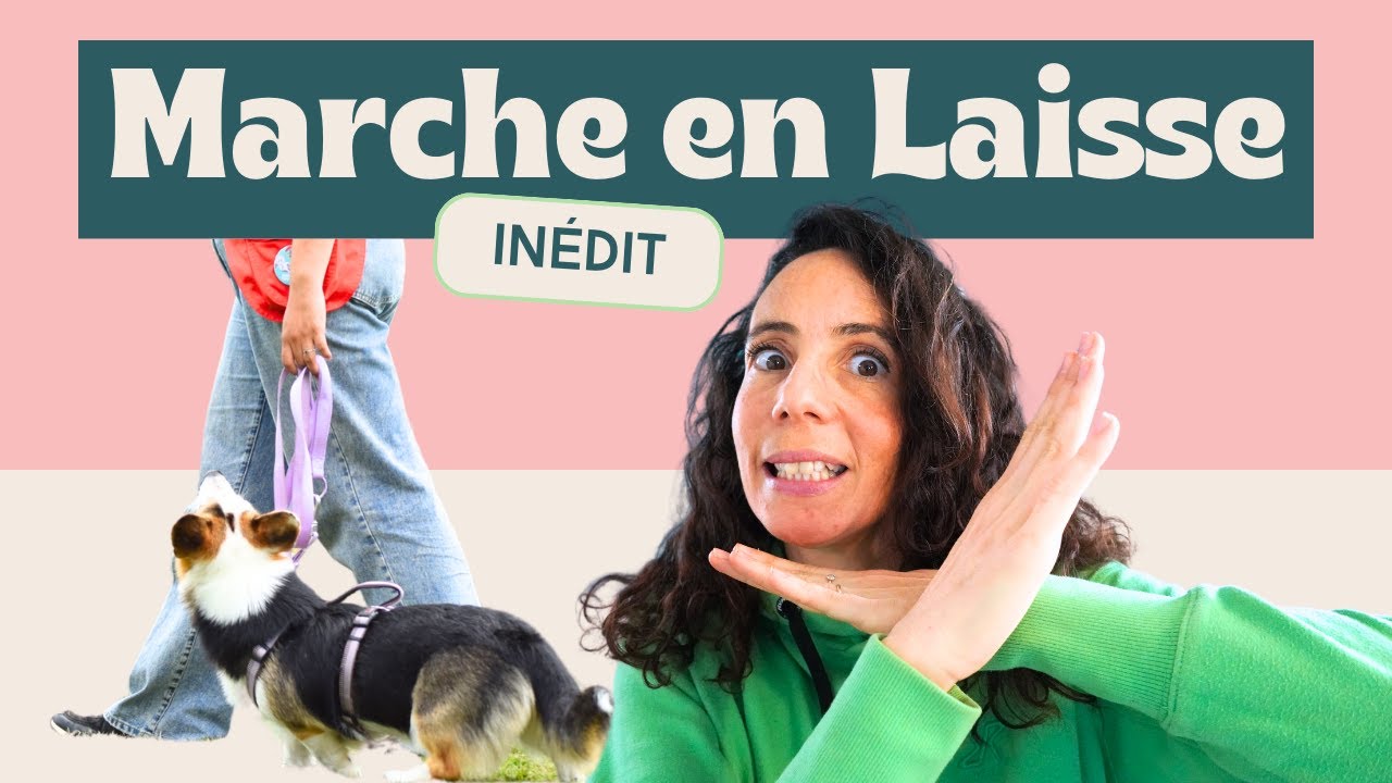 N'apprends surtout pas la MARCHE AUX PIEDS à ton chien !