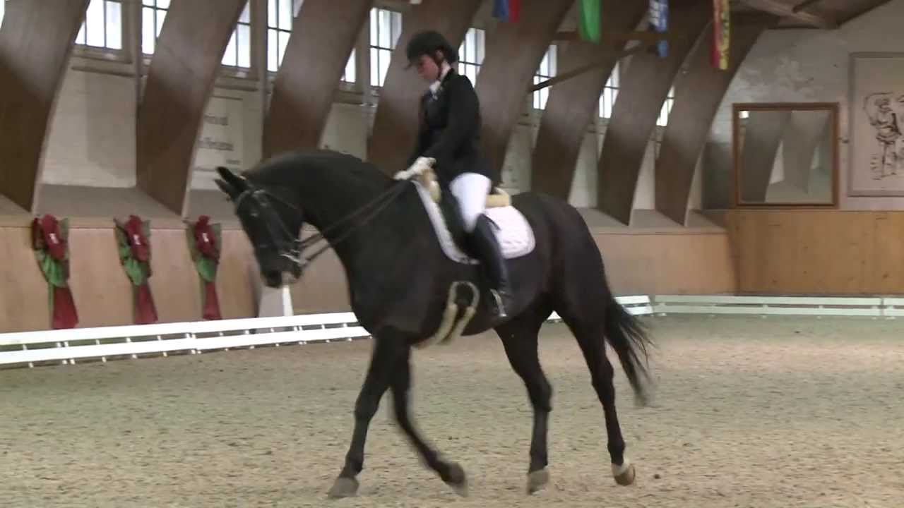 Anthea Hartmann mit Falco XI im M25, NPZ Bern 2014