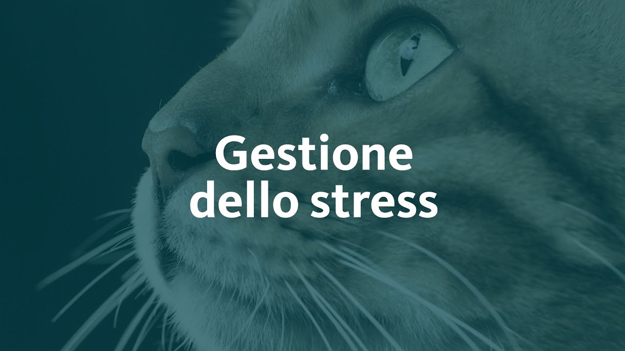 Gestione dello stress