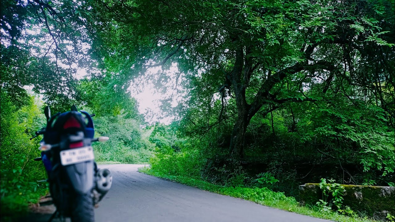 Vellore Amirthi Zoo🙈🙉🙊 | forest | bike travel