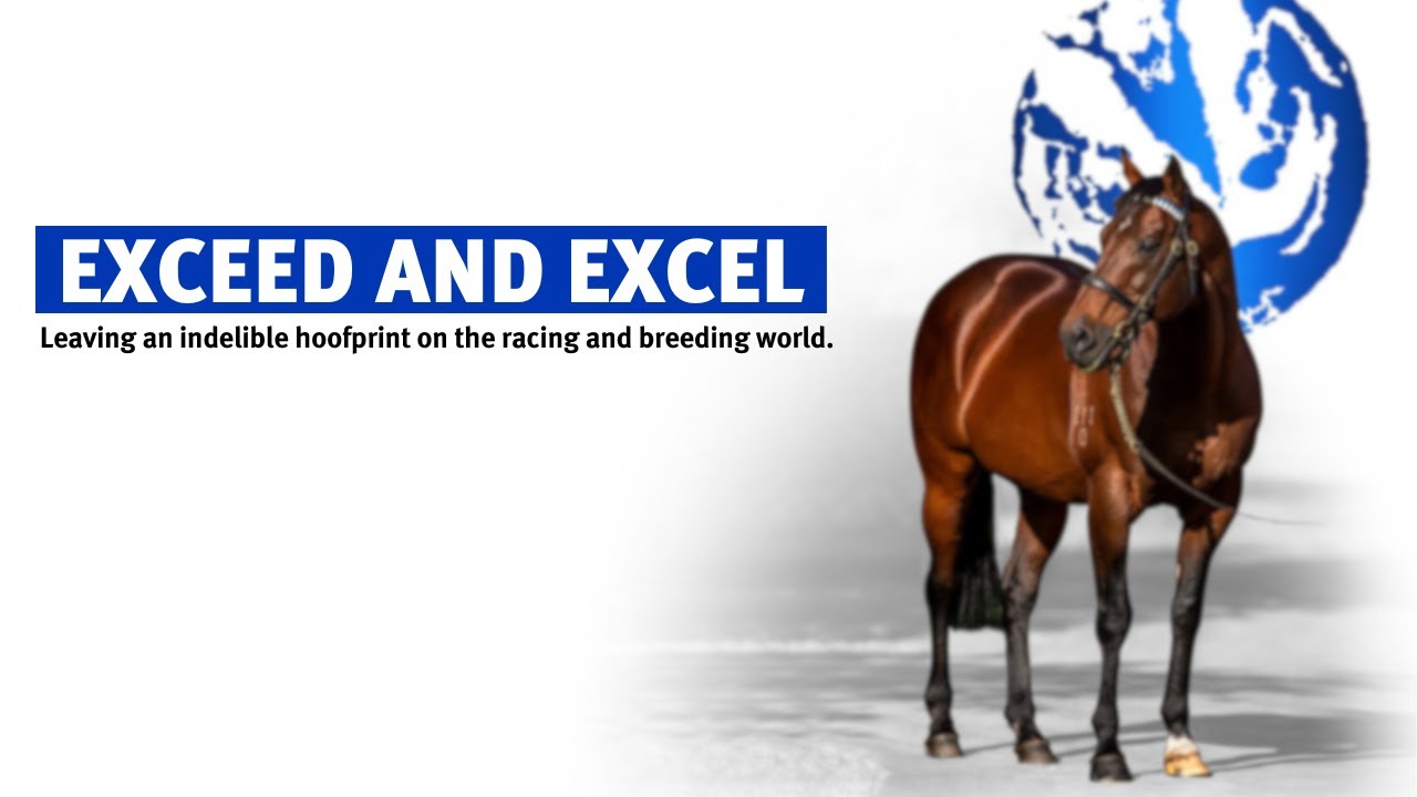 Exceed And Excel, leaving an indelible hoofprint on the racing and breeding worlds.