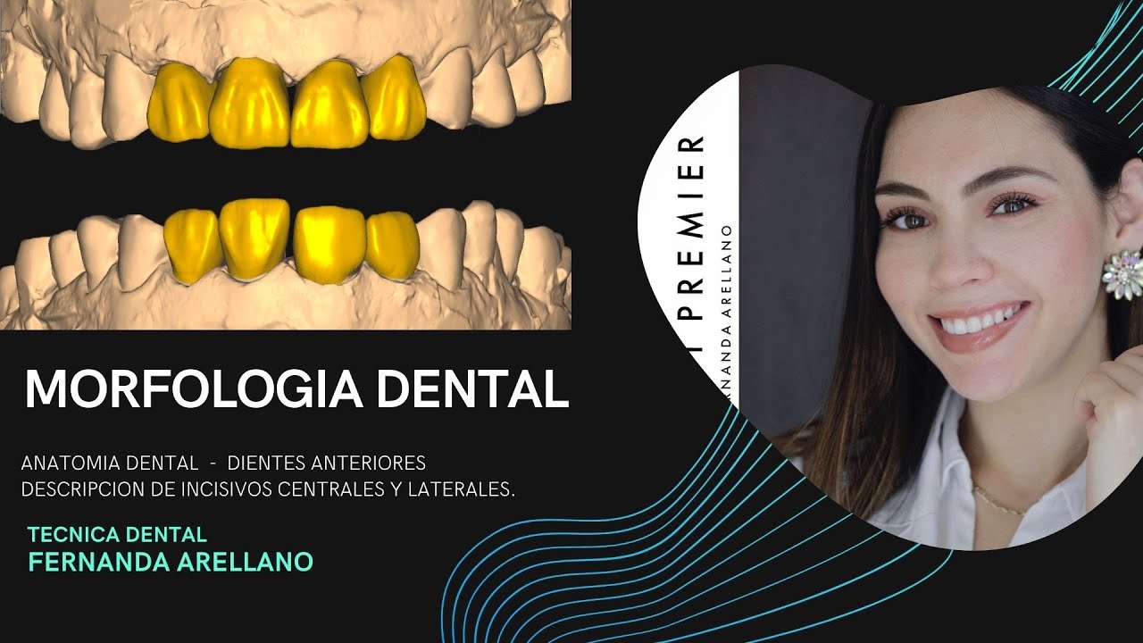 MORFOLOGIA DENTAL , COMO DESCRIBIR SECTOR ANTERIORES,  Parte I