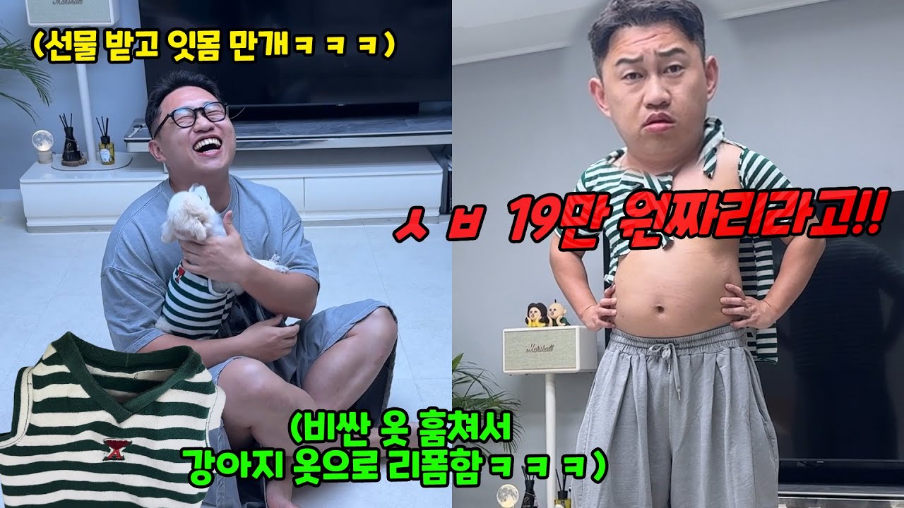 비싼 옷 훔쳐서 강아지 옷으로 리폼해 주기ㅋㅋㅋ